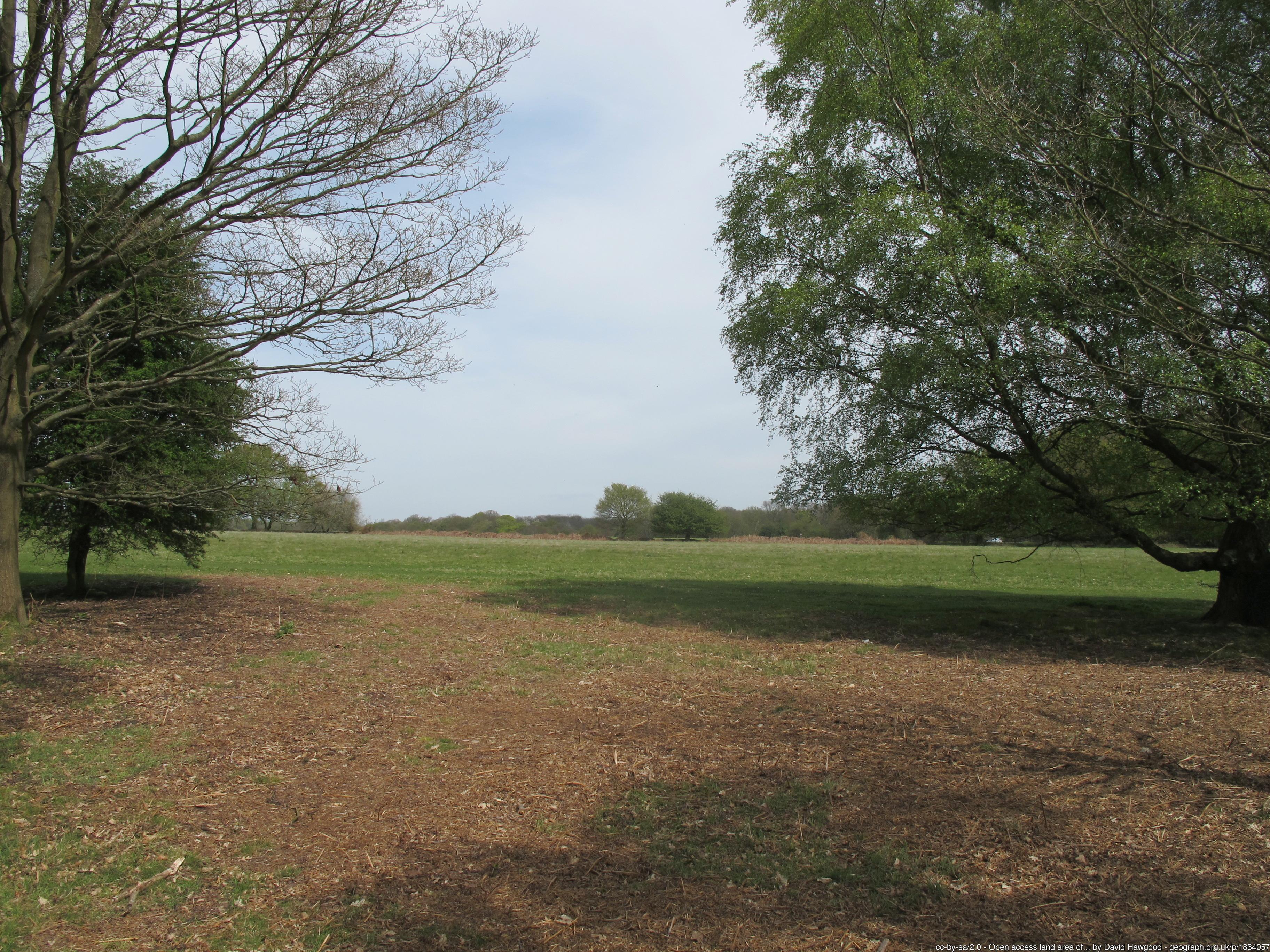 Northchurch Common geograph-1834057-by-David-Hawgood.jpg